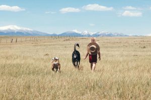 Family Adventures in Park County, Colorado | Explorer of the Month October 2020