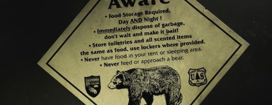 Being Bear Aware in Park County, Colorado