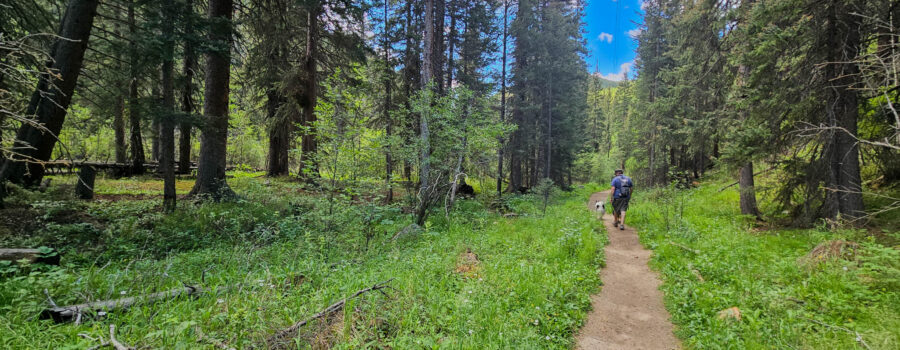 Stroll down Threemile Trail #635 and Geneva Creek Trail #697 in Grant, Colorado!
