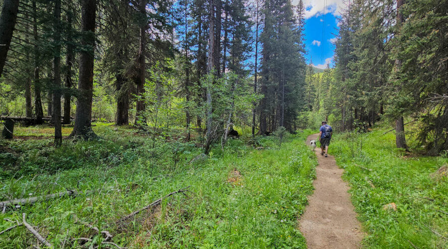 Stroll down Threemile Trail #635 and Geneva Creek Trail #697 in Grant, Colorado!