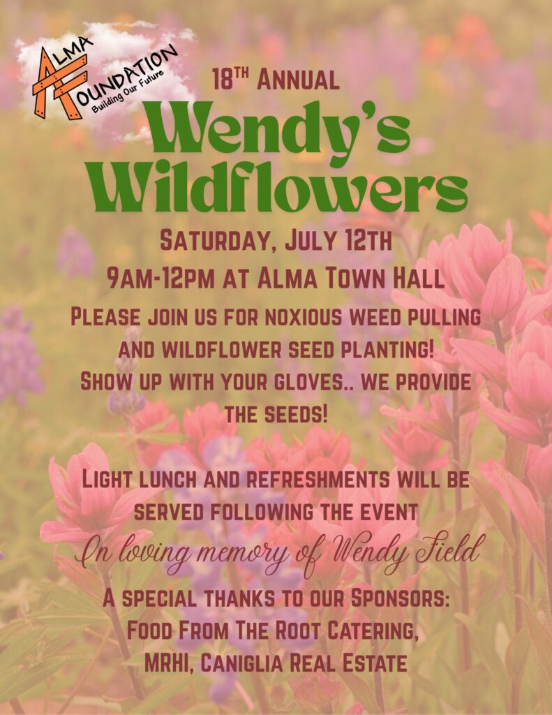 Wendy's Wildflowers