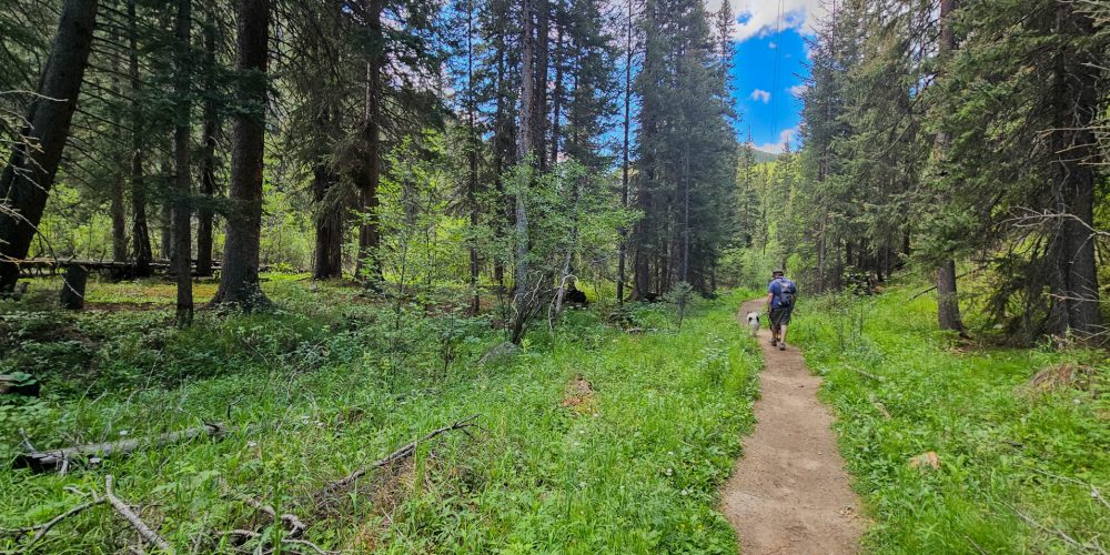 Three Mile Geneva Creek Trails Grant Colorado 9